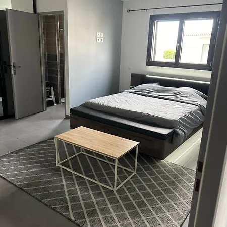 Grande Avec Piscine Bompas (Pyrenees-Orientales)